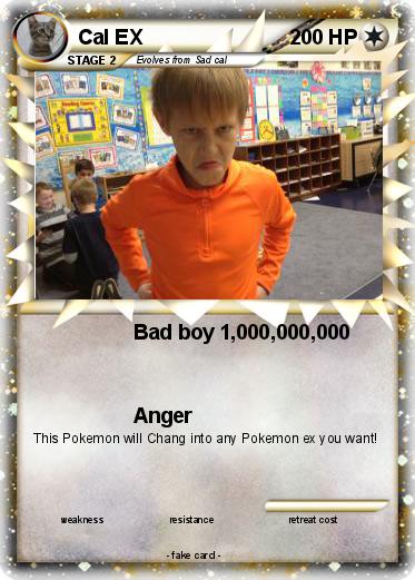 Pokemon Cal EX