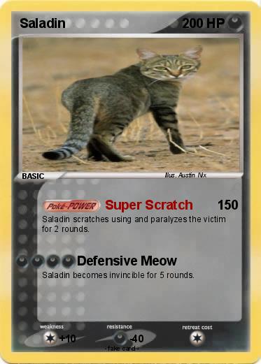 Pokemon Saladin