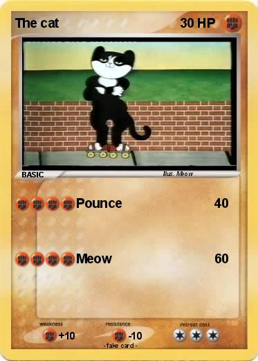 Pokemon The cat