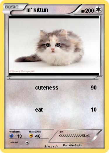 Pokemon lil' kittun