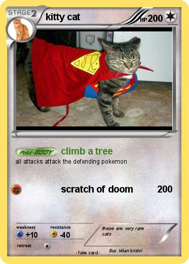 Pokemon kitty cat