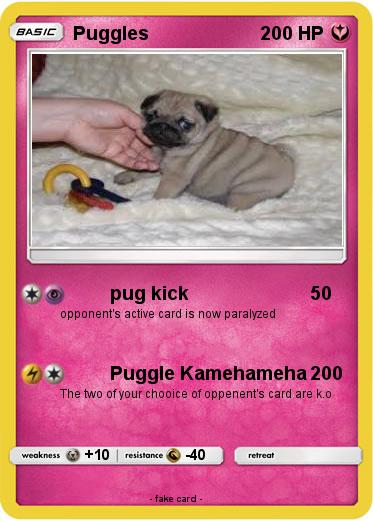 Pokemon Puggles