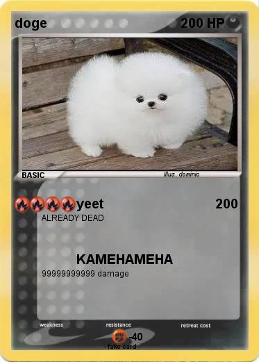 Pokemon doge