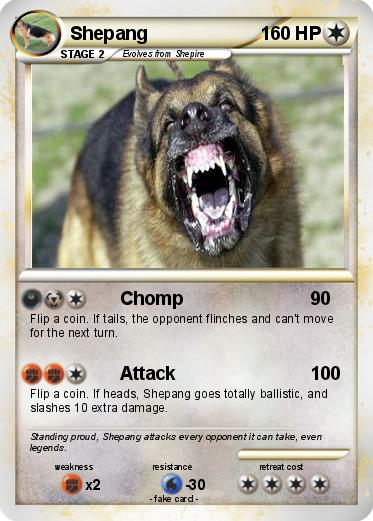 Pokemon Shepang