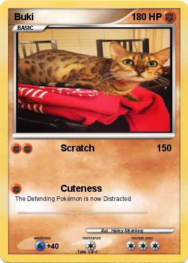 Pokemon Buki