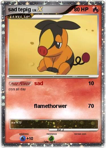 Pokemon sad tepig