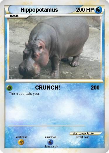 Pokemon Hippopotamus