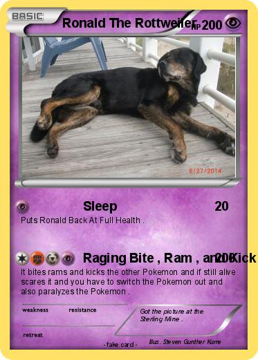 Pokemon Ronald The Rottweiler