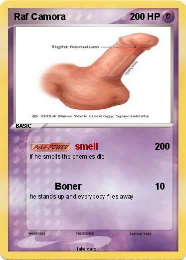 Pokemon Raf Camora