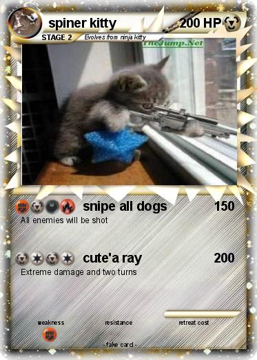 Pokemon spiner kitty