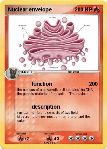 Pokemon Nuclear envelope