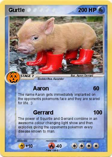 Pokemon Gurtle