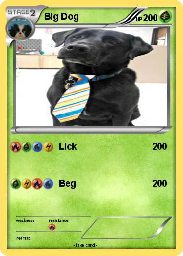 Pokemon Big Dog