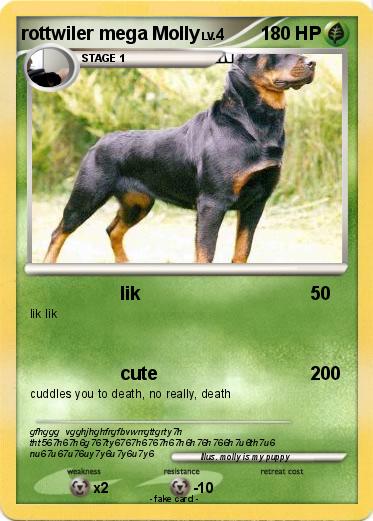 Pokemon rottwiler mega Molly
