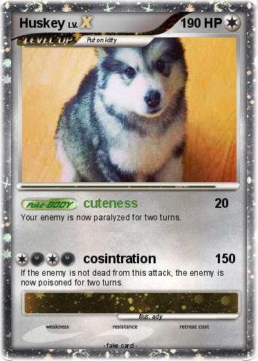 Pokemon Huskey