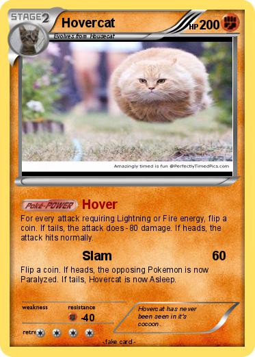 Pokemon Hovercat