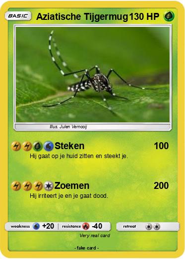 Pokemon Aziatische Tijgermug