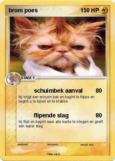 Pokemon brom poes