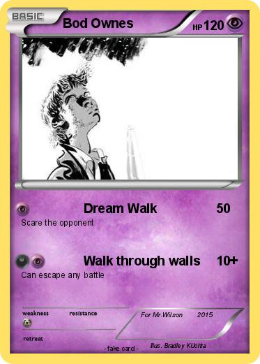 Pokemon Bod Ownes