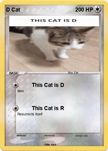 Pokemon D Cat