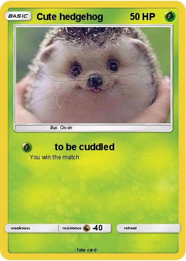 Pokemon Cute hedgehog