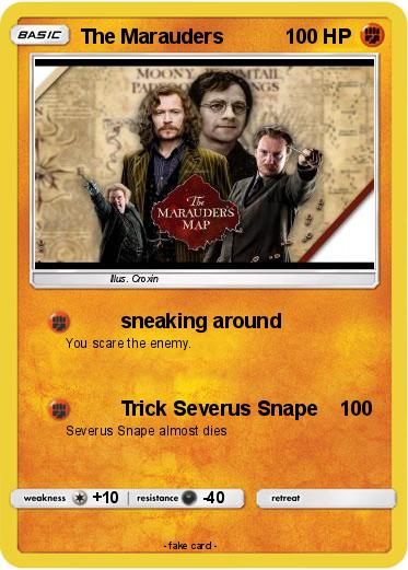 Pokemon The Marauders