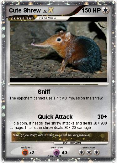 Pokemon Cute Shrew
