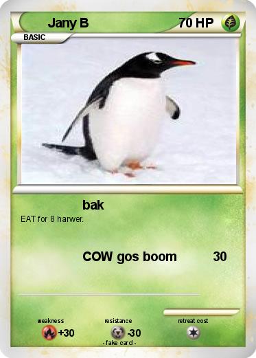 Pokemon Jany B