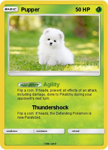 Pokemon Pupper