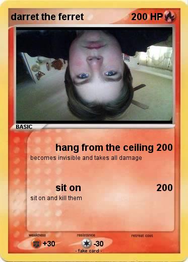 Pokemon darret the ferret