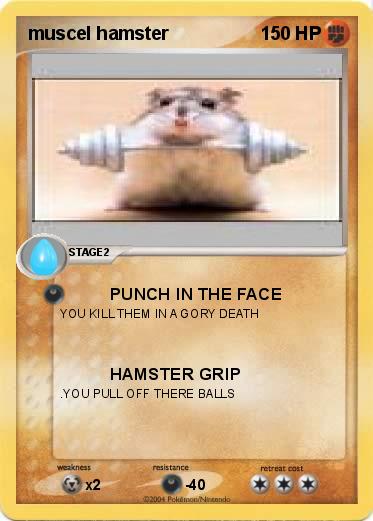 Pokemon muscel hamster