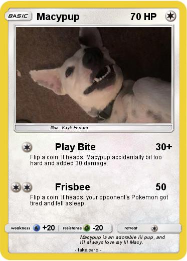 Pokemon Macypup