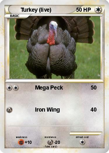 Pokemon Turkey (live)