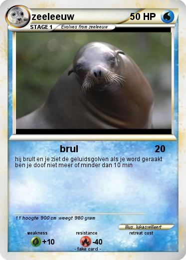 Pokemon zeeleeuw