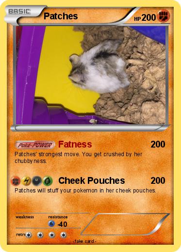 Pokemon Patches