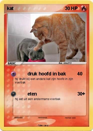 Pokemon kat