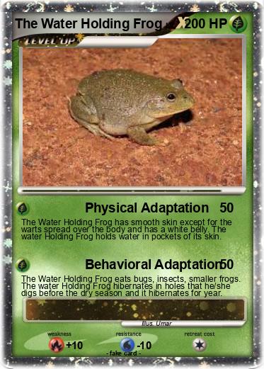 Pokemon The Water Holding Frog