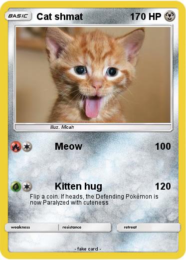 Pokemon Cat shmat