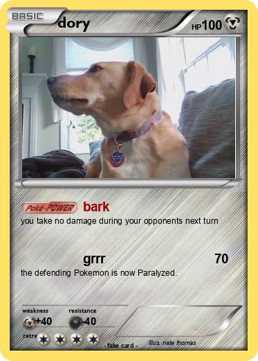 Pokemon dory