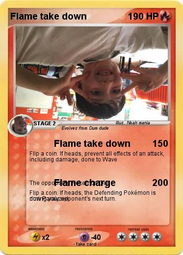 Pokemon Flame take down