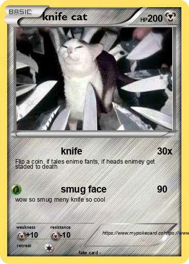 Pokemon knife cat