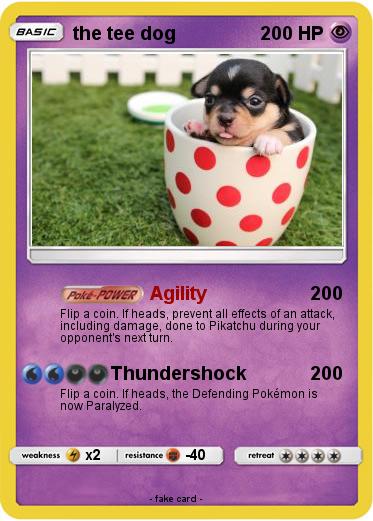 Pokemon the tee dog