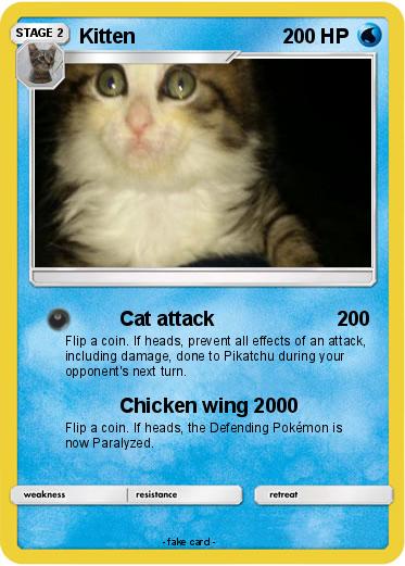 Pokemon Kitten