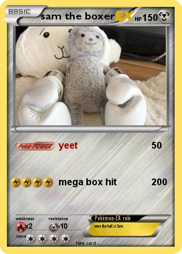 Pokemon sam the boxer