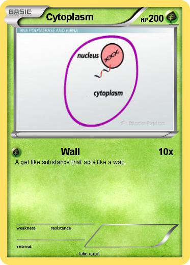 Pokemon Cytoplasm