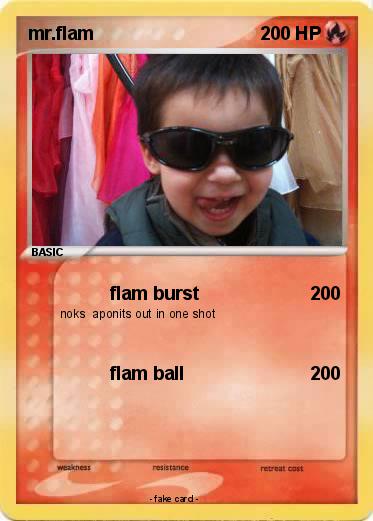 Pokemon mr.flam
