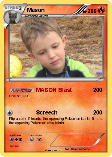 Pokemon Mason