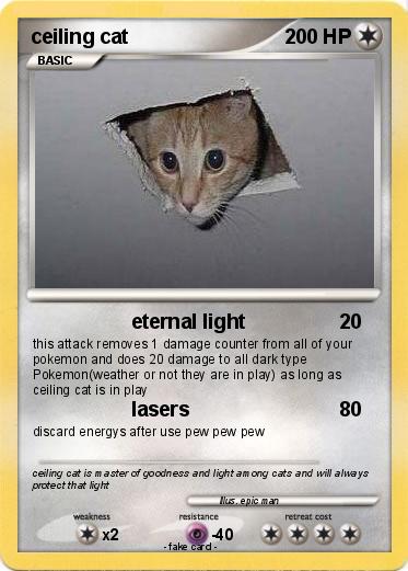 Pokemon ceiling cat