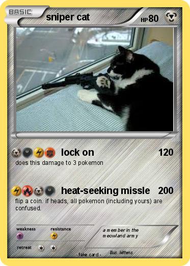 Pokemon sniper cat