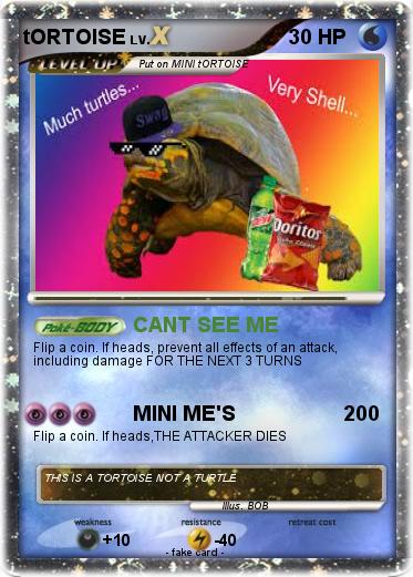 Pokemon tORTOISE